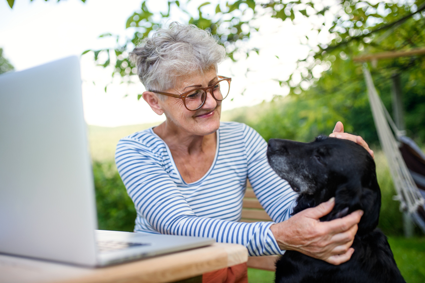 Senior woman with laptop and dog working at the table outdoors in garden, home office concept. Active senior woman with laptop and dog