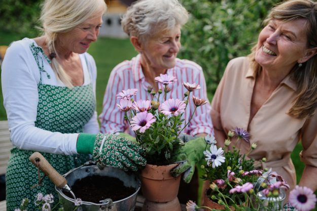 Happy senior women friends planting flowers tog
