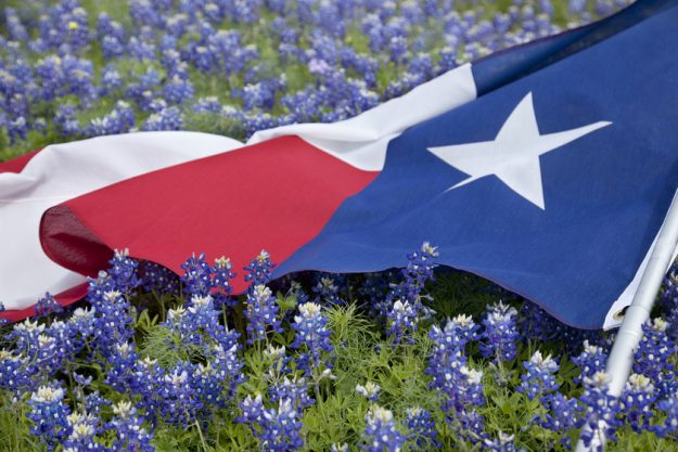 Texas flag among bluebonnet flowers on bright spring day What Makes Veterans Love Retiring In Texas