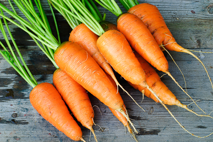 Carrot bunches Natural Ways To Preserve Your Eyesight While Staying In Independent Living Homes In Lely, FL