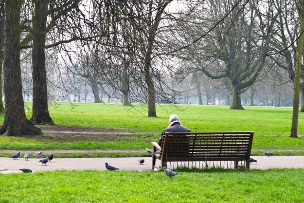 Man in the garden with the pigeons Man in the garden with the pigeons
