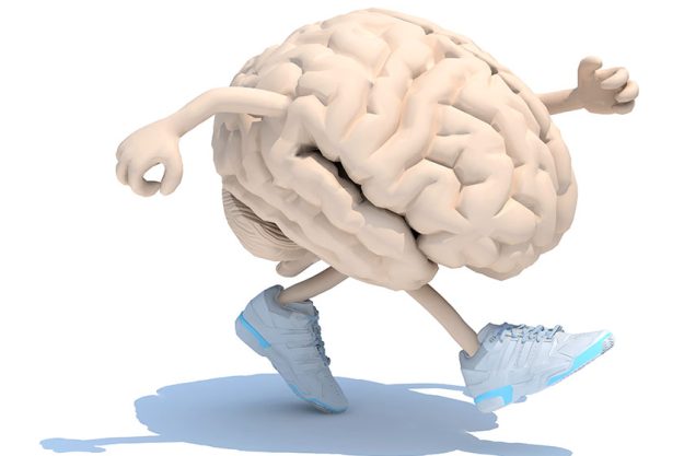 Human brain with arms, legs and sneackers on his feet Human brain with arms, legs and sneackers on his feet