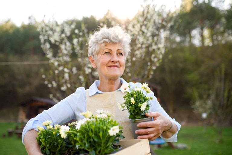 Senior woman gardening in summer