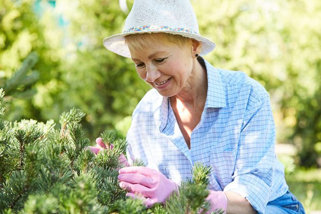 Portrait of contemporary senior woman gardening in sunlight, copy space