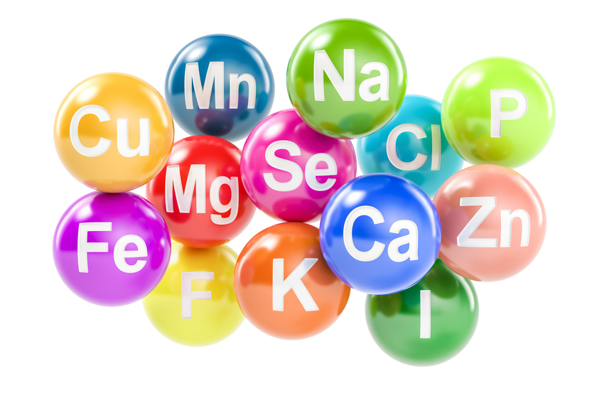 the-role-of-vitamins-for-those-in-dementia-care-programs-in-hillsborough-county-fl