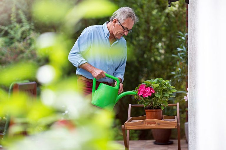 Retired man watering plants in the garden Retired man watering plants in the garden