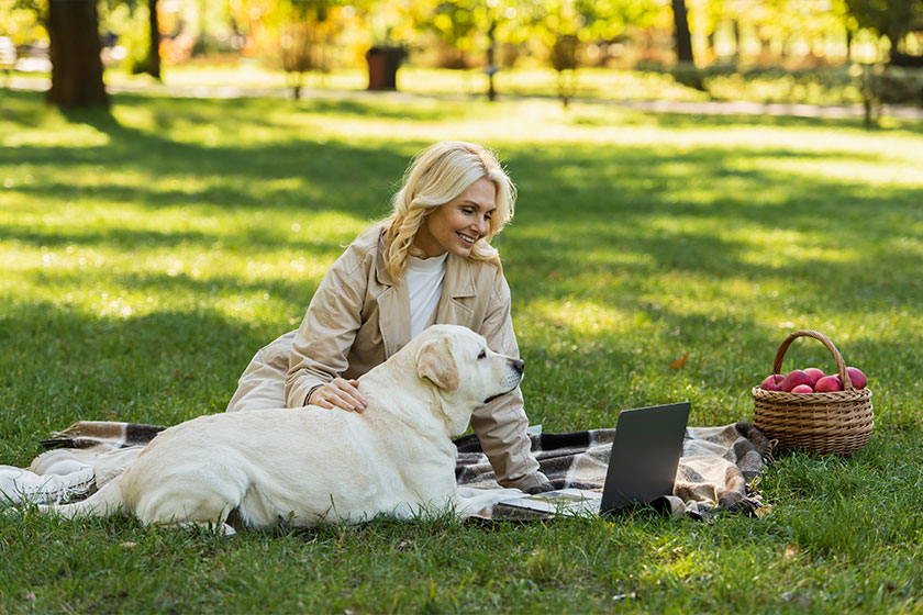 Cheerful woman petting labrador dog while watching movie Cheerful woman petting labrador dog while watching movie