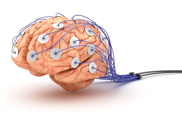 Brain analysis. Polygraph test