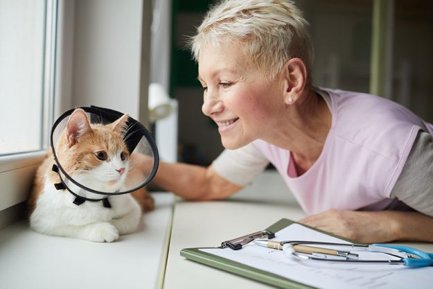 Caring For Your Pets In A Senior Home In Colleyville, TX: Five Tips To Keep Them Warm During Winter Caring For Your Pets In A Senior Home In Colleyville, TX: Five Tips To Keep Them Warm During Winter