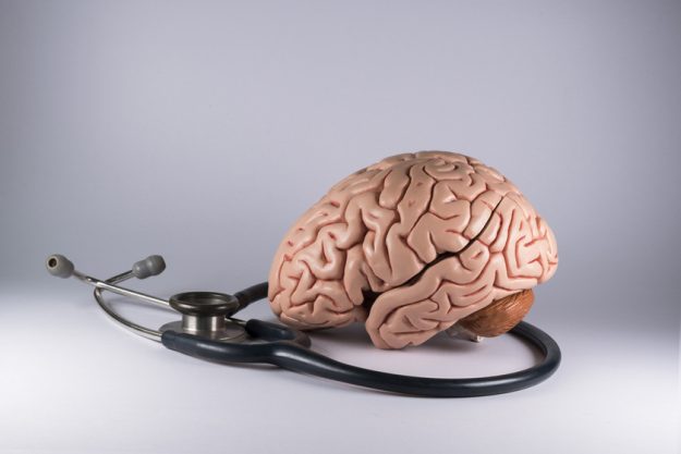 Artificial human brain model and stethoscope Artificial human brain model and stethoscope
