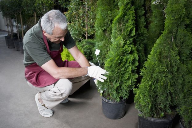 3 Hobbies That Ignite Senior Men's Passions