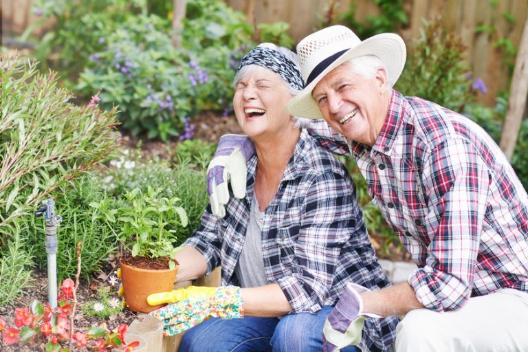Gardening brings us so much joy. A happy senior couple busy gardening in their back yard.