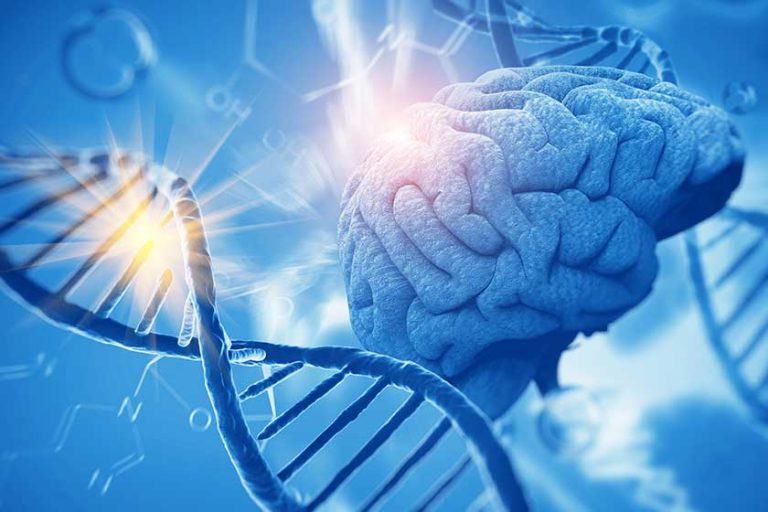 3d render of DNA structure and Brain, abstract background