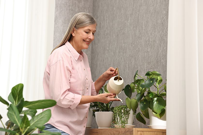 happy housewife watering green houseplants