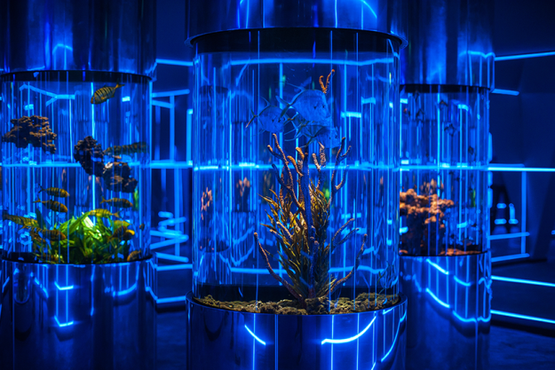 oceanarium interior oceanarium interior