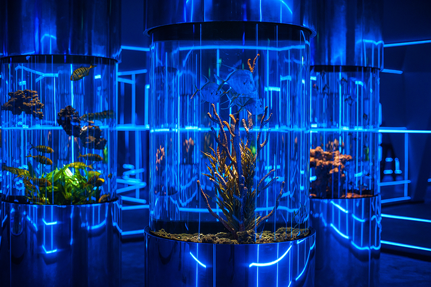 oceanarium interior