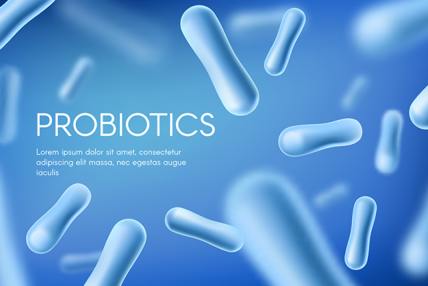 probiotics lacto bacteria healthy digestion