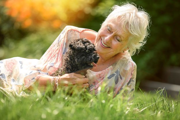 Senior woman pet dog nature poodle Senior woman pet dog nature poodle