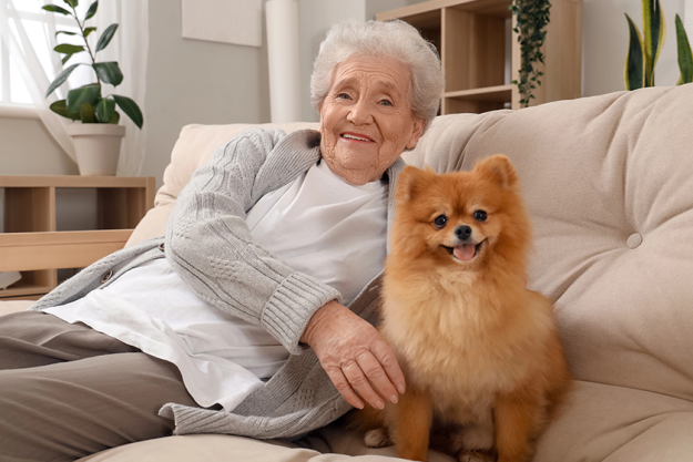 senior woman pomeranian dog