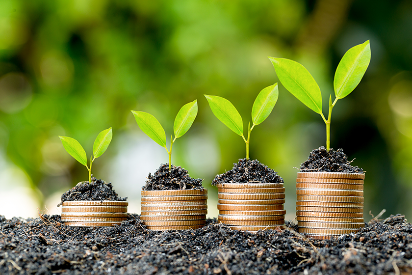 coins stacked ground seedlings growing