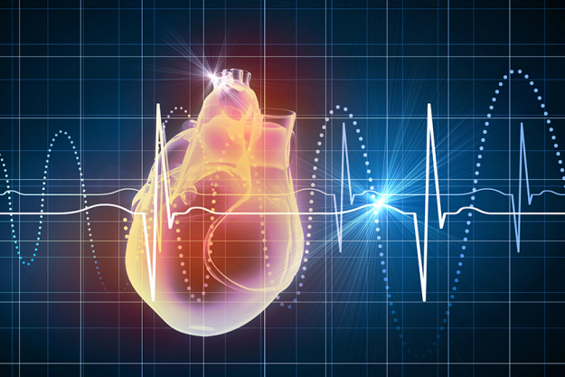 human heart beats human heart beats
