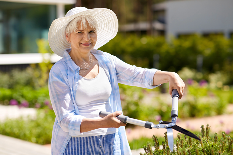senior gardener with hedge trimmer at garden