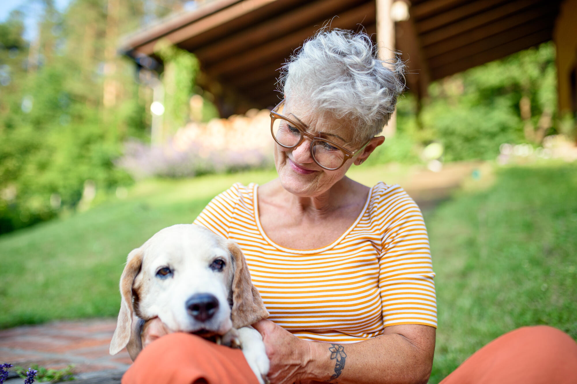 Portrait,Of,Senior,Woman,Sitting,Outdoors,In,Garden,,Pet,Dog Portrait,Of,Senior,Woman,Sitting,Outdoors,In,Garden,,Pet,Dog