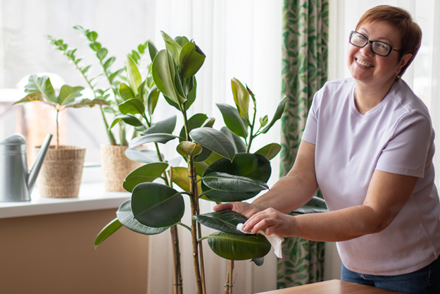 elderly woman wipes leaves
