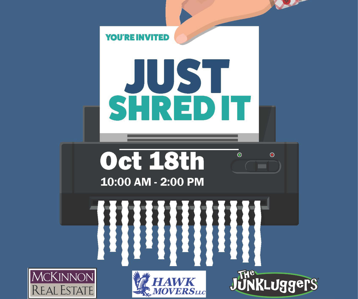 DVS Slider Shred it 1200x1000