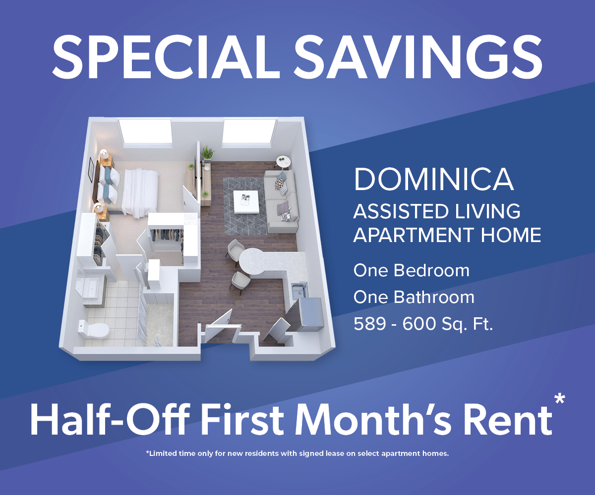 DVPBG 0417 Slider Dominica Half Off October 2025 1200 x 1000