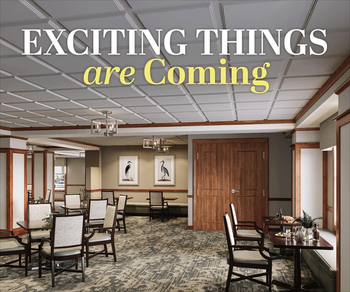 DVWE 0171 Slider Exciting Things Are Coming GIF October 2025 1200 x 1000 (2) (1)