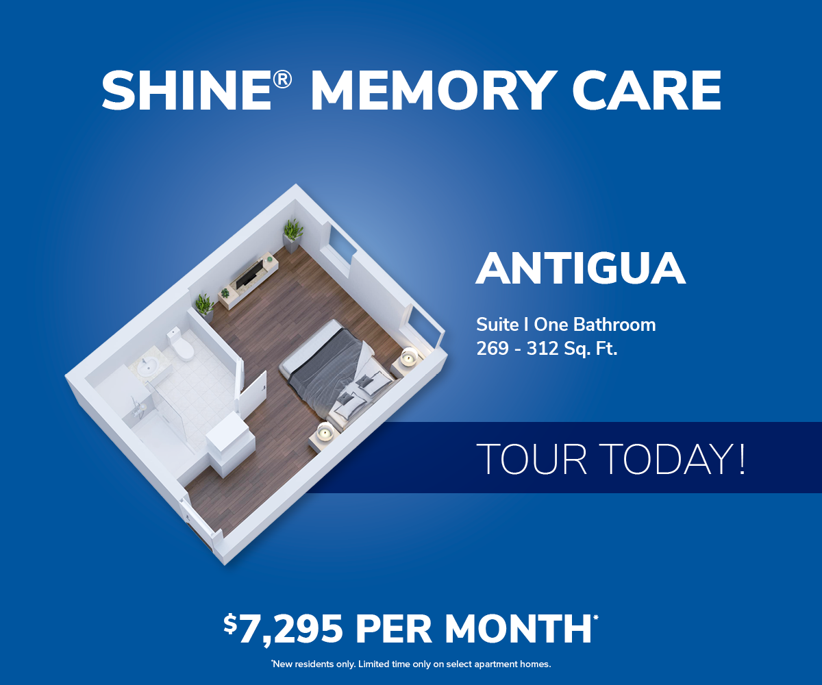 DVM 0446 Slider Antigua Spotlight November 2025 1200 x 1000 (1)